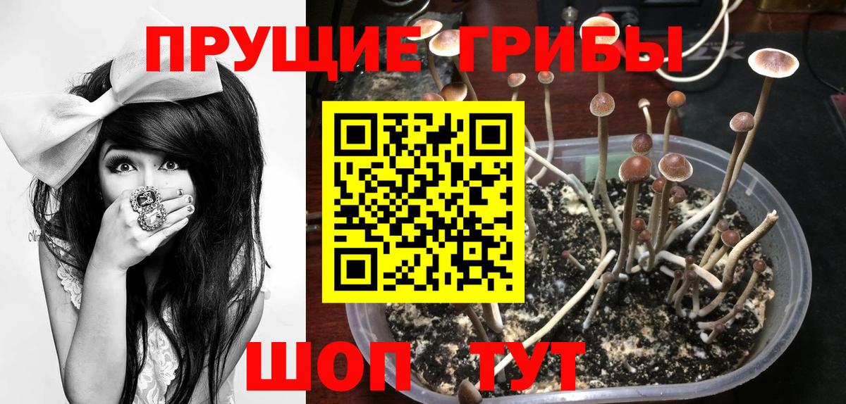 Галлюциногенные грибы MAGIC MUSHROOMS Ессентуки
