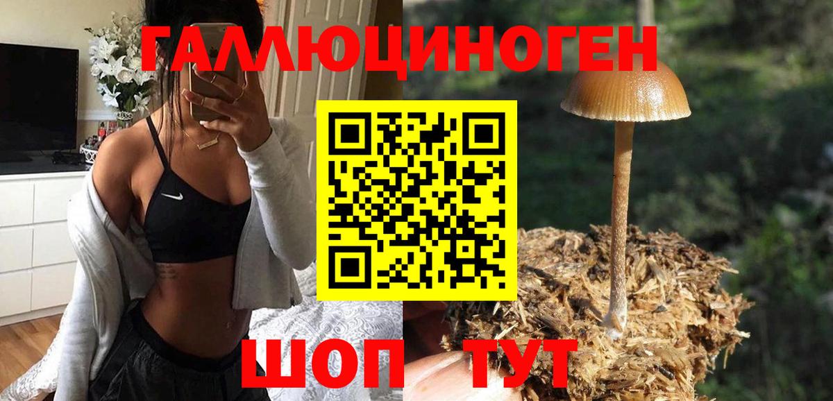 Ессентуки  Галлюциногенные грибы мухоморы  что такое   Вход с VPN  Псилоцибиновые грибы MAGIC MUSHROOMS 
